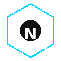 Next.js 1