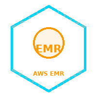 EMR