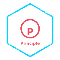 Principle 2