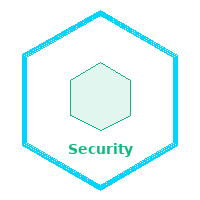 Security 1