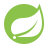 Icons8 Spring Boot 48